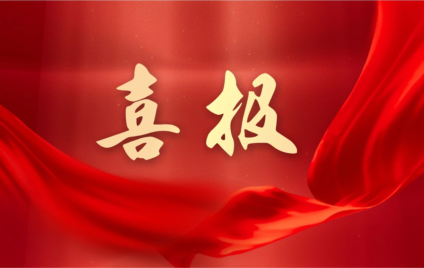 營收凈利雙增長！依頓電子2025年一季度經(jīng)營業(yè)績續(xù)寫高質(zhì)量發(fā)展華章